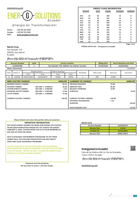Download Ecuador Energysource Ecuador energy business utility bill template (2) Photoshop template